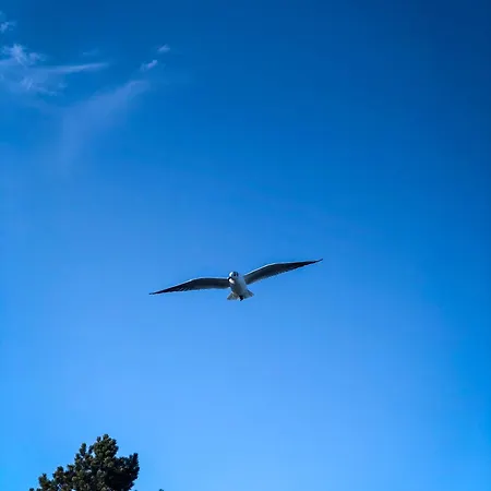 Kuestenbrise Σπίτι διακοπών Γκλύξμπουργκ