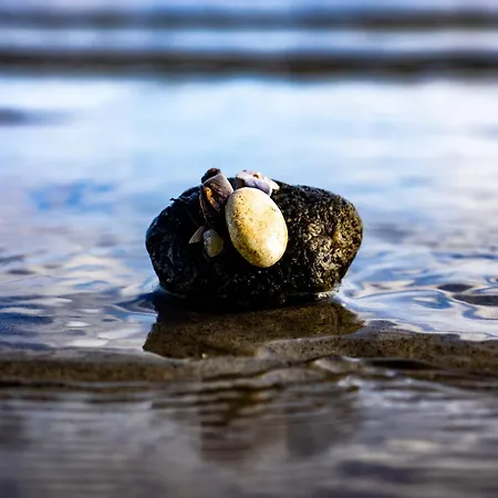 Kuestenbrise Σπίτι διακοπών *