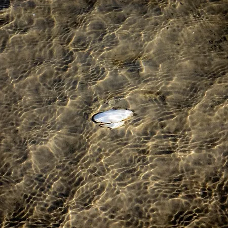 Kuestenbrise * Γκλύξμπουργκ